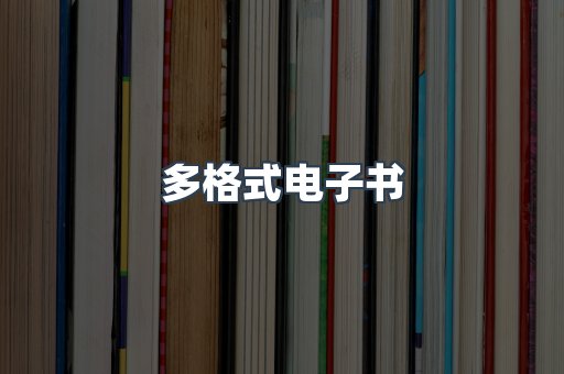 多格式电子书